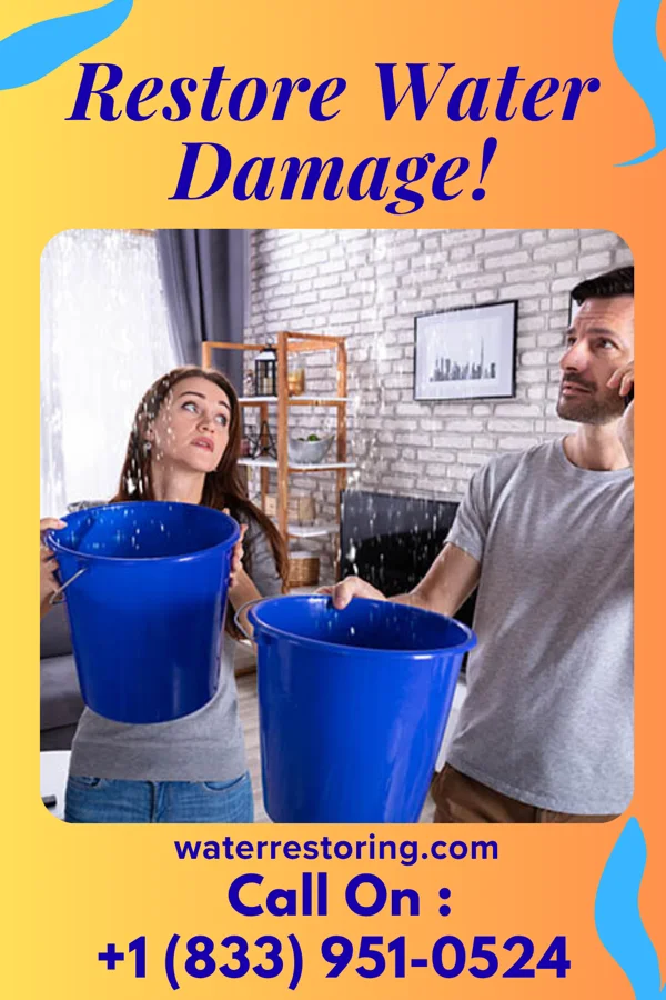 water restoration National Damage Restoration Company Green City