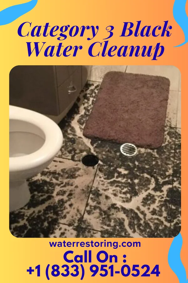 Category 3 Black Water Cleanup in Green City, MO