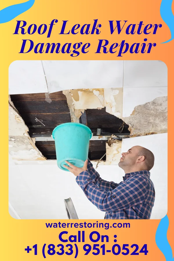 Roof Leak Water Damage Repair in Green City, MO
