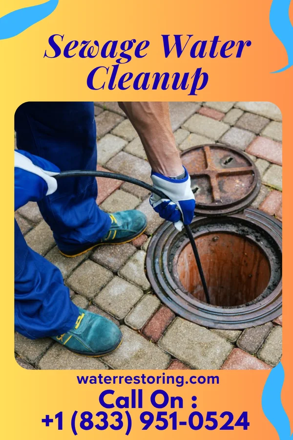 Sewage Water Cleanup in Green City, MO