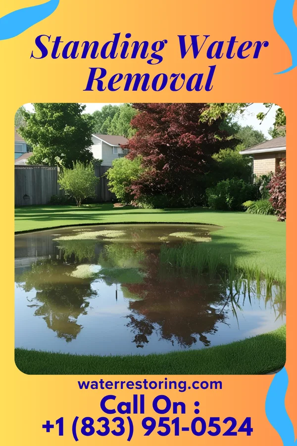 Standing Water Removal in Green City, MO